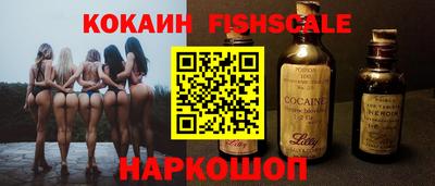 амф Камышлов