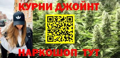 PSILOCYBIN Кингисепп