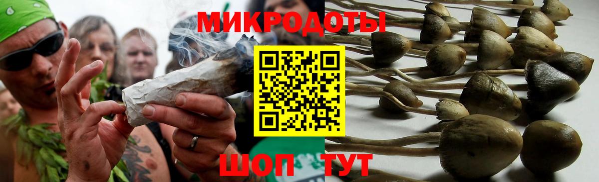 Псилоцибиновые грибы Psilocybe Озёры