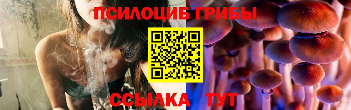Озёры  Псилоцибиновые грибы мицелий  купить наркотики цена  Вход с VPN 